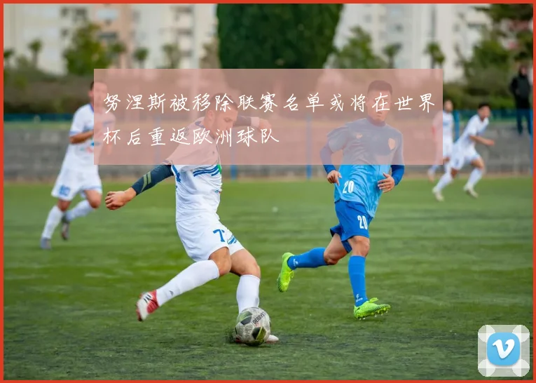 努涅斯被移除联赛名单或将在世界杯后重返欧洲球队