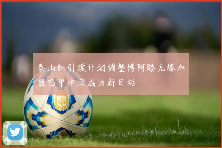 泰山队引援计划调整博阿滕无缘加盟巴甲中卫成为新目标